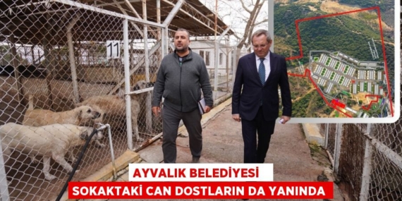 AYVALIK BELEDİYESİ   SOKAKTAKİ CAN DOSTLARIN DA YANINDA