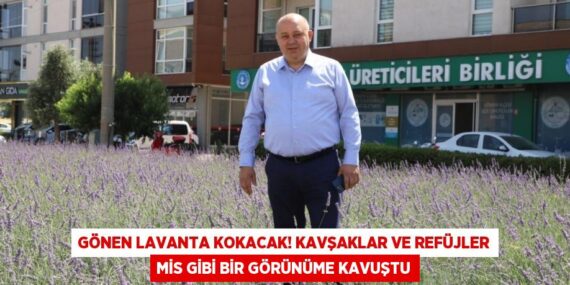 Gönen Lavanta Kokacak! Kavşaklar ve Refüjler Mis Gibi Bir Görünüme Kavuştu