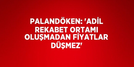 PALANDÖKEN: ‘ADİL REKABET ORTAMI OLUŞMADAN FİYATLAR DÜŞMEZ’