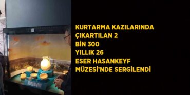 25783281922061624109