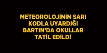 25793263172016022674tasarimli