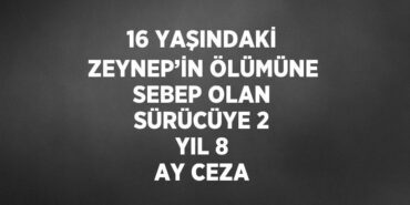 25796229342138728677tasarimli