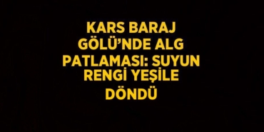 25798214572640726889tasarimli