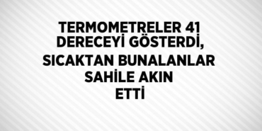 25800214762055531357tasarimli