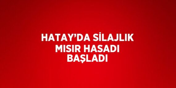 HATAY’DA SİLAJLIK MISIR HASADI BAŞLADI
