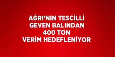 25806287933109331455tasarimli