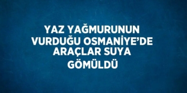 25808312482823822013tasarimli