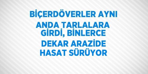 BİÇERDÖVERLER AYNI ANDA TARLALARA GİRDİ, BİNLERCE DEKAR ARAZİDE HASAT SÜRÜYOR