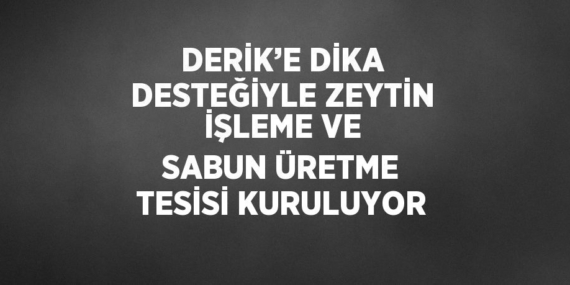 DERİK’E DİKA DESTEĞİYLE ZEYTİN İŞLEME VE SABUN ÜRETME TESİSİ KURULUYOR