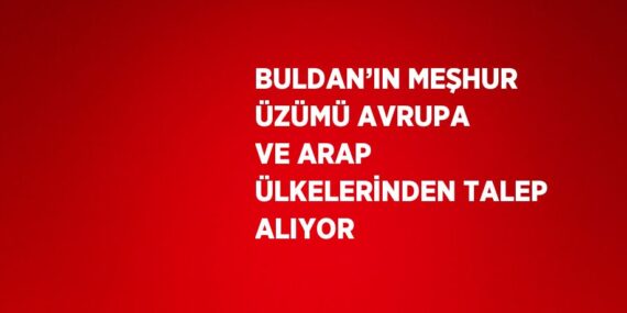 BULDAN’IN MEŞHUR ÜZÜMÜ AVRUPA VE ARAP ÜLKELERİNDEN TALEP ALIYOR