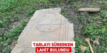 25819238542748128007tasarimli