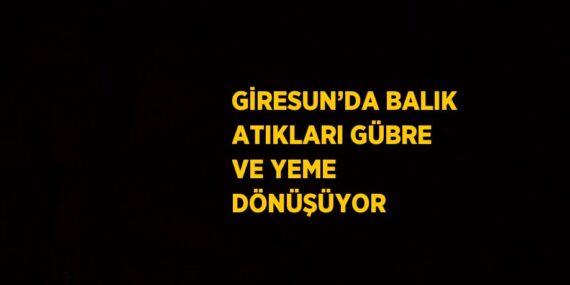 GİRESUN’DA BALIK ATIKLARI GÜBRE VE YEME DÖNÜŞÜYOR