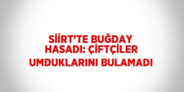 25835300363141626677tasarimli