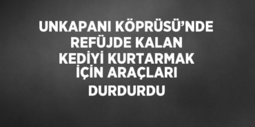 25839249672970431159tasarimli