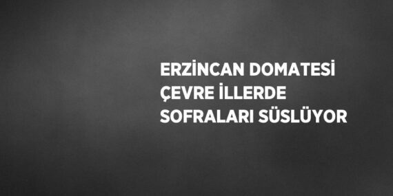 ERZİNCAN DOMATESİ ÇEVRE İLLERDE SOFRALARI SÜSLÜYOR
