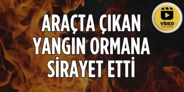 25841232572759327224