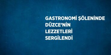 25842303962491527778