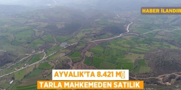 25842316713003627713tasarimli