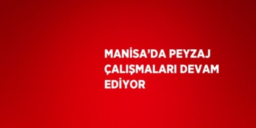 25851230952762422181