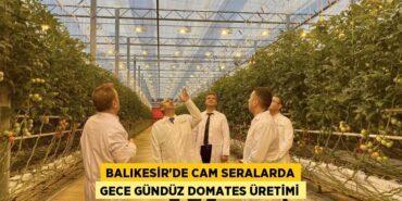 25852303772218723820tasarimli