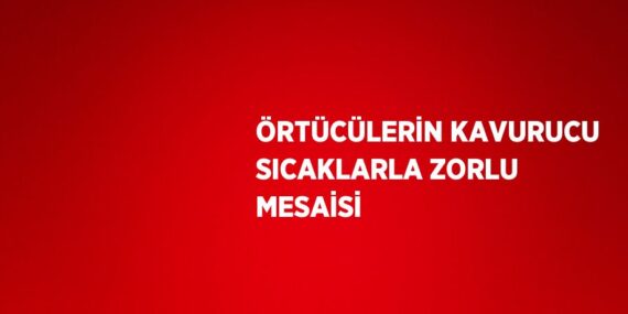 ÖRTÜCÜLERİN KAVURUCU SICAKLARLA ZORLU MESAİSİ
