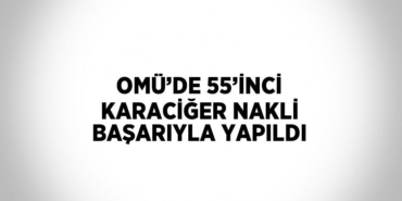 25856262662624524604tasarimli