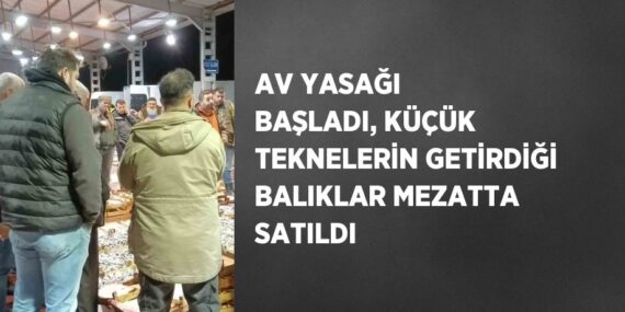 AV YASAĞI BAŞLADI, KÜÇÜK TEKNELERİN GETİRDİĞİ BALIKLAR MEZATTA SATILDI