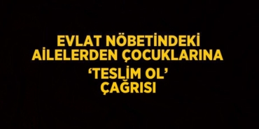 25868275152601527398tasarimli