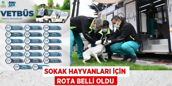 SOKAK HAYVANLARI İÇİN ROTA BELLİ OLDU