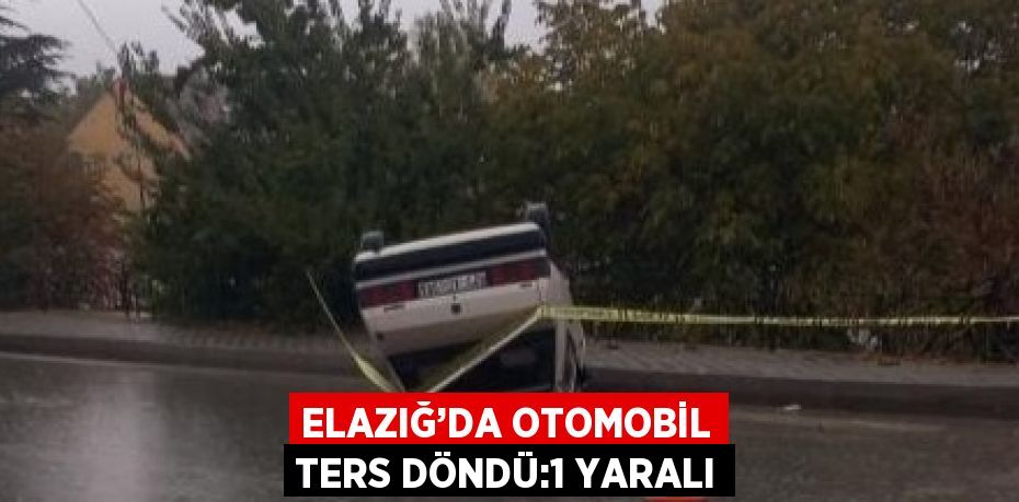 25880247632471523151tasarimli