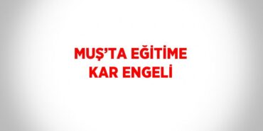 25884249683106931893tasarimli