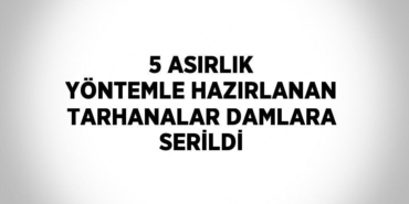 25884266242828025008tasarimli