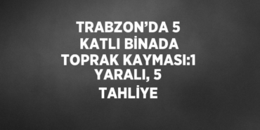 25890243082214525140tasarimli