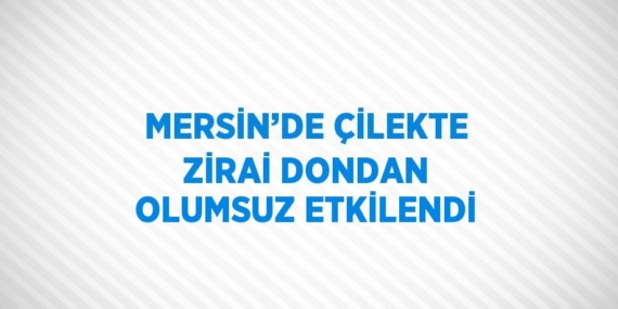 MERSİN’DE ÇİLEKTE ZİRAİ DONDAN OLUMSUZ ETKİLENDİ