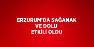 25901306112854530398tasarimli