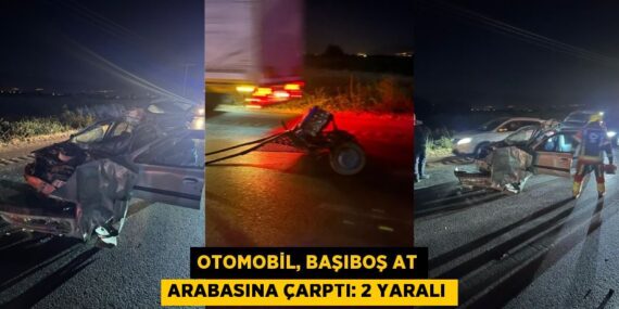 Otomobil, başıboş at arabasına çarptı: 2 yaralı