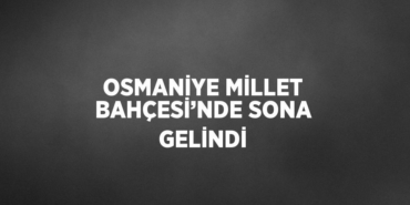 25943249132643328035tasarimli