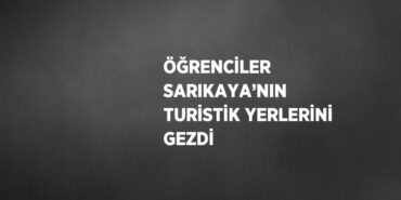 25945218502924631438