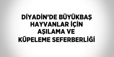 25945223922500229609tasarimli