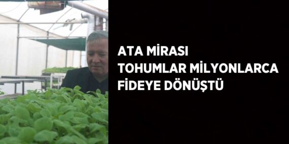 ATA MİRASI TOHUMLAR MİLYONLARCA FİDEYE DÖNÜŞTÜ