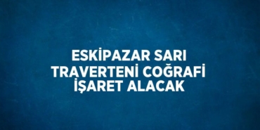 25974308942688624950tasarimli
