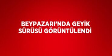 25975286512845229166tasarimli