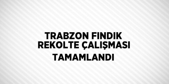 TRABZON FINDIK REKOLTE ÇALIŞMASI TAMAMLANDI