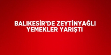 25986275412687621285tasarimli