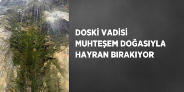 25987237882310322989