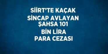 25987270872019425051tasarimli