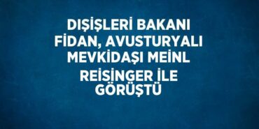 25988287982457622743tasarimli