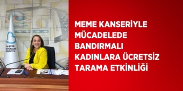 25991211692029220418