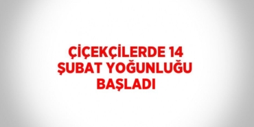 25991217792753631117tasarimli