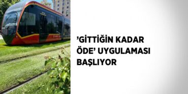 25997240252354130353